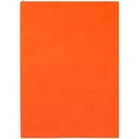 Ежедневник Flat Light, недатированный, оранжевый