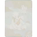 Флисовый плед Wintart Bear