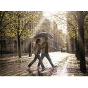 Зонт-трость Sombrella, черный