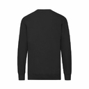 Свитшот без начеса LIGHTWEIGHT SET-IN SWEAT 240
