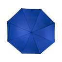 Зонт-трость «Ibi»