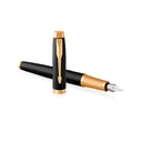 Ручка перьевая Parker IM Premium, F