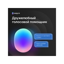 Умная колонка VK «Капсула» с голосовым помощником Марусей, 30 Вт