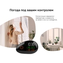 Метеостанция «StoneCast 2 WTS»