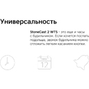 Метеостанция «StoneCast 2 WTS»