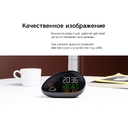 Метеостанция «StoneCast 2 WTS»