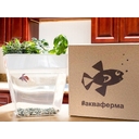 Набор для выращивания растений и ухода за рыбкой «Акваферма»