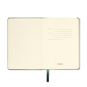 Ежедневник Спарк мини (Spark mini) A6 недатированный, зеленый