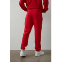 Брюки унисекс STAN футер без начёса, 350, 97, Красный,  (14)  (44/XS)