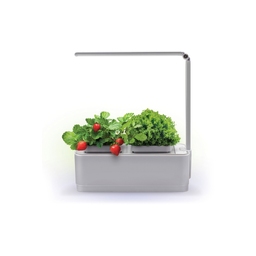 Компактный смарт-сад «iGarden LED» с подсветкой